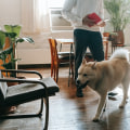 Are There Any Restrictions on Owning Pets in Rental Properties in Prince George's County?