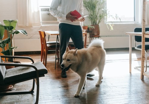 Are There Any Restrictions on Owning Pets in Rental Properties in Prince George's County?